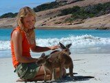 Lucky Bay kangaroos, Esperance