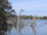 Monjimup Lake Reserve, Esperance